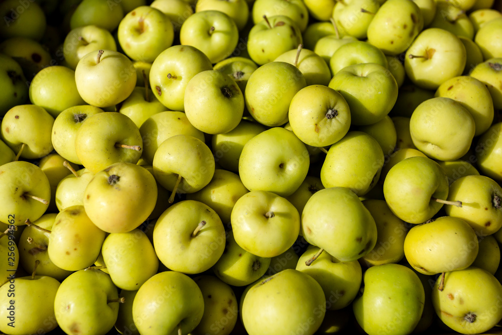 Fresh organic green apples on the farmers market. Food apple background. Fresh organic green apples on the farmers market. Food apple background.
