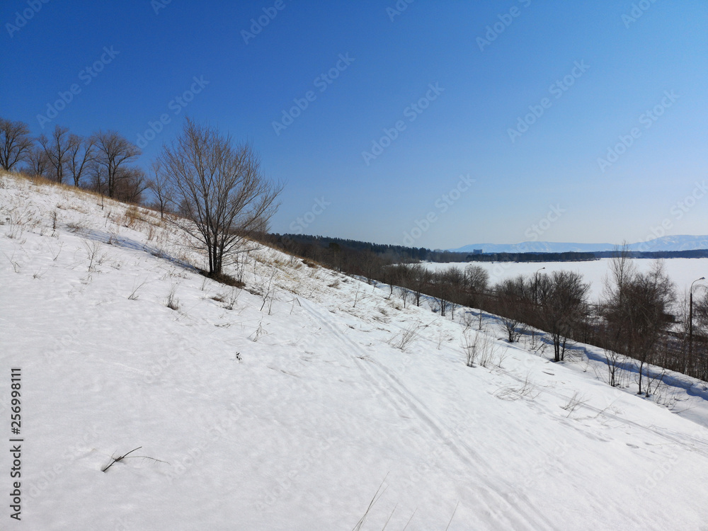Winter Russian forest landscape with trees in early spring, melting snow