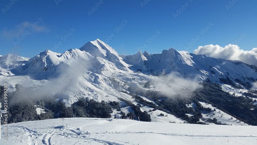 Montagne et Mont Blanc