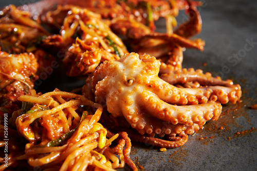 Korea spicy stir fried octopus and crab  © mnimage