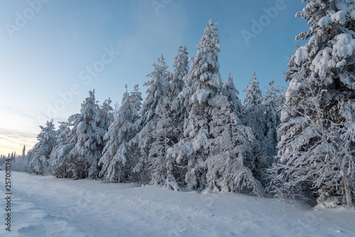 Winter landscapes in Lapland near Sirkka, Finland © lenisecalleja