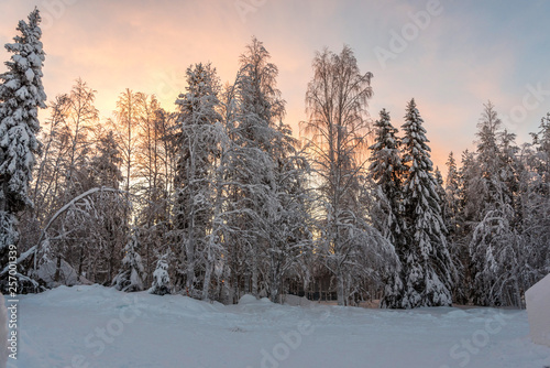 Winter landscapes in Lapland near Sirkka, Finland © lenisecalleja