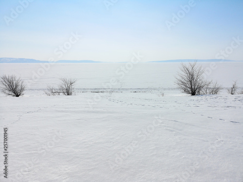 Trees in the winter landscape on the background of a large empty space in Russia © Vladimir