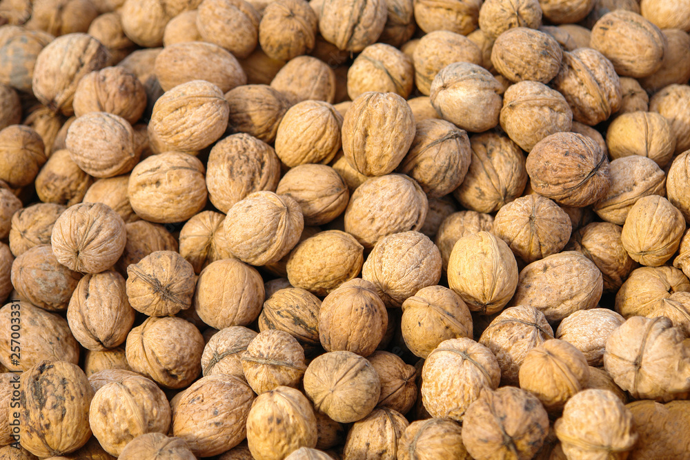 Lots of inshell walnuts on the market counter Lots of inshell walnuts on the market counter