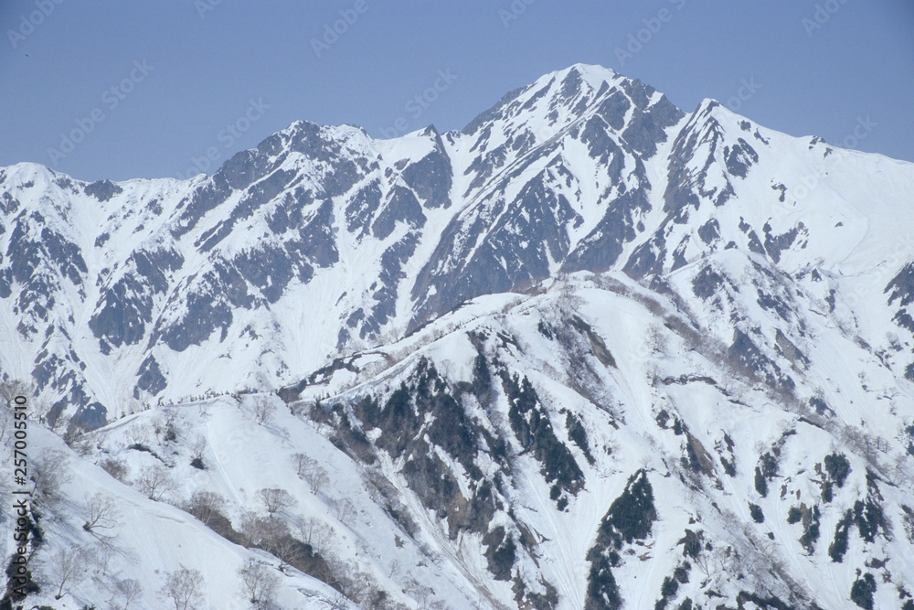 Obraz premium Snow from the Northern Alps Toomi Ridge - 北アルプス・遠見尾根から望む残雪の五竜岳