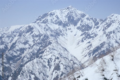 Snow from the Northern Alps Toomi Ridge - 北アルプス・遠見尾根から望む残雪の五竜岳 © FotoCat