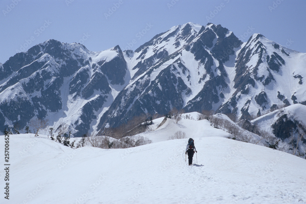 Mt.Snow and climbers from the Northern Alps Toomi Ridge - 北アルプス・遠見尾根から望む残雪の五竜岳と登山者 Mt.Snow and climbers from the Northern Alps Toomi Ridge - 北アルプス・遠見尾根から望む残雪の五竜岳と登山者