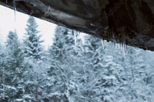 Icicles on the roof 