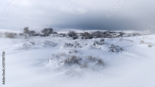 winter landscape