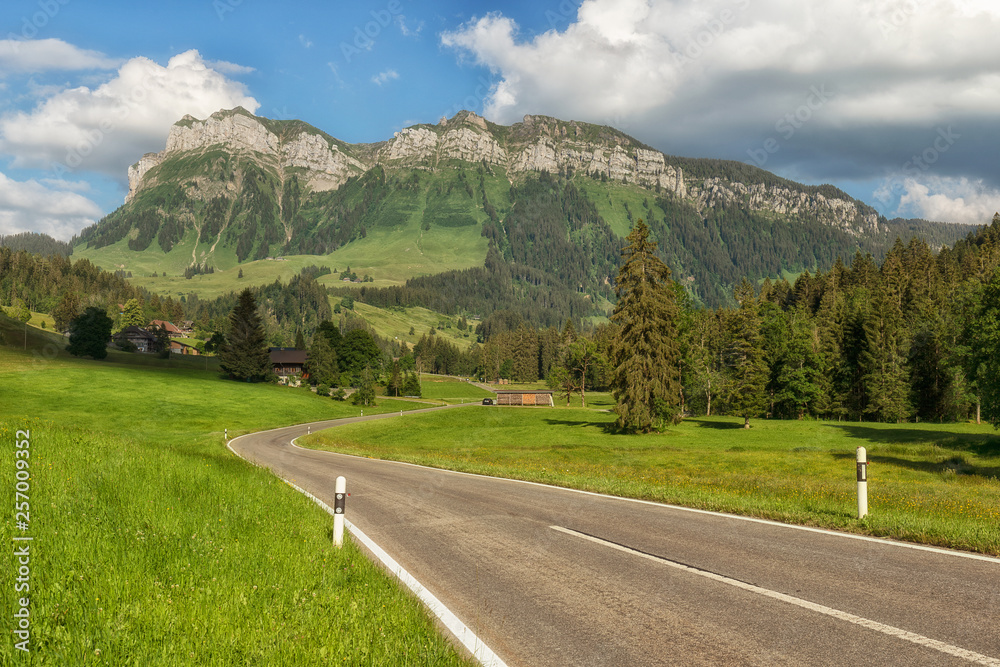 Fototapeta premium road in the mountains