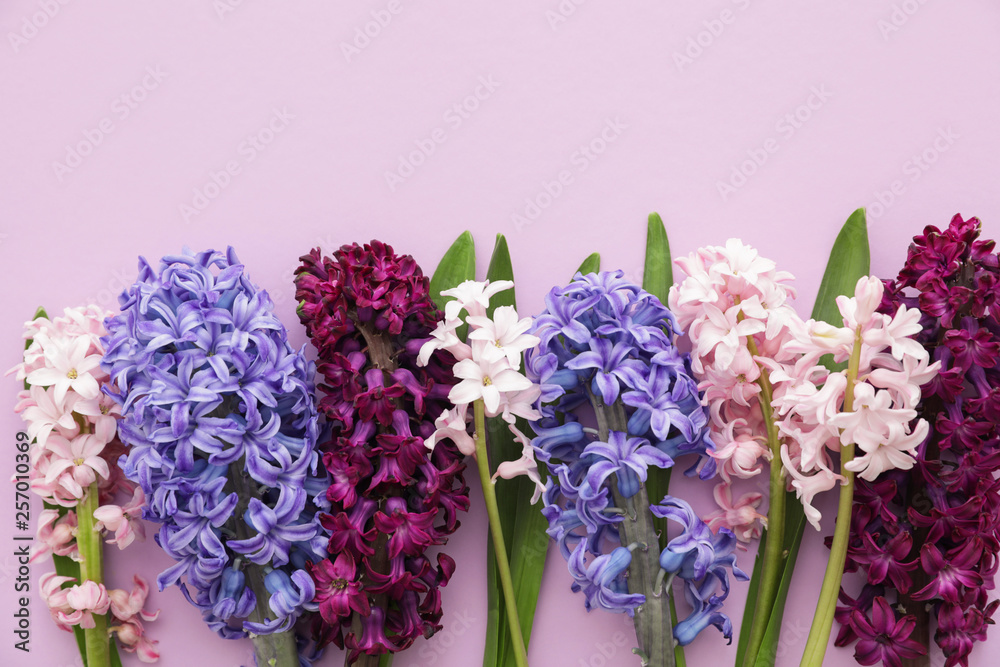 Beautiful spring hyacinth flowers on color background, top view
