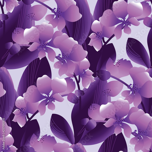 Orchid flowering gradient s...