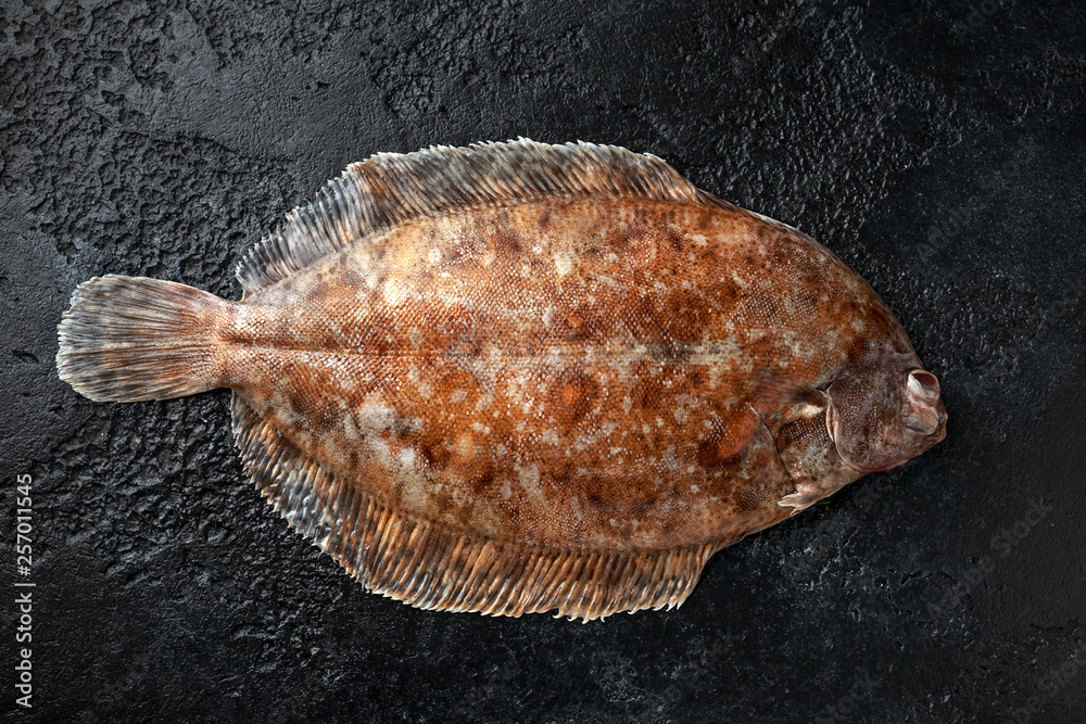 Raw lemon sole fish on black background, top view