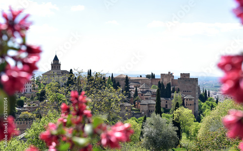 The view from gardens of The Generalife towards the Alhambra Palace and church spire, The Alhambra, Granada, Andalusia, Spain
