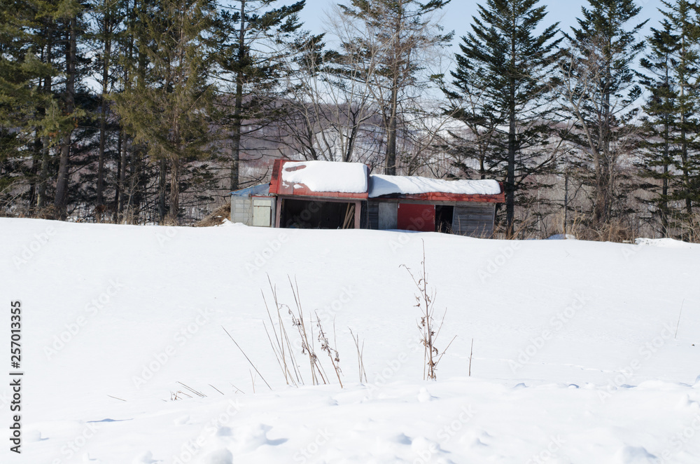 Naklejka premium 雪原の古い家