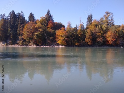 Fototapeta Naklejka Na Ścianę i Meble -  Stimmungsvoller Herbstwald am Flussufer