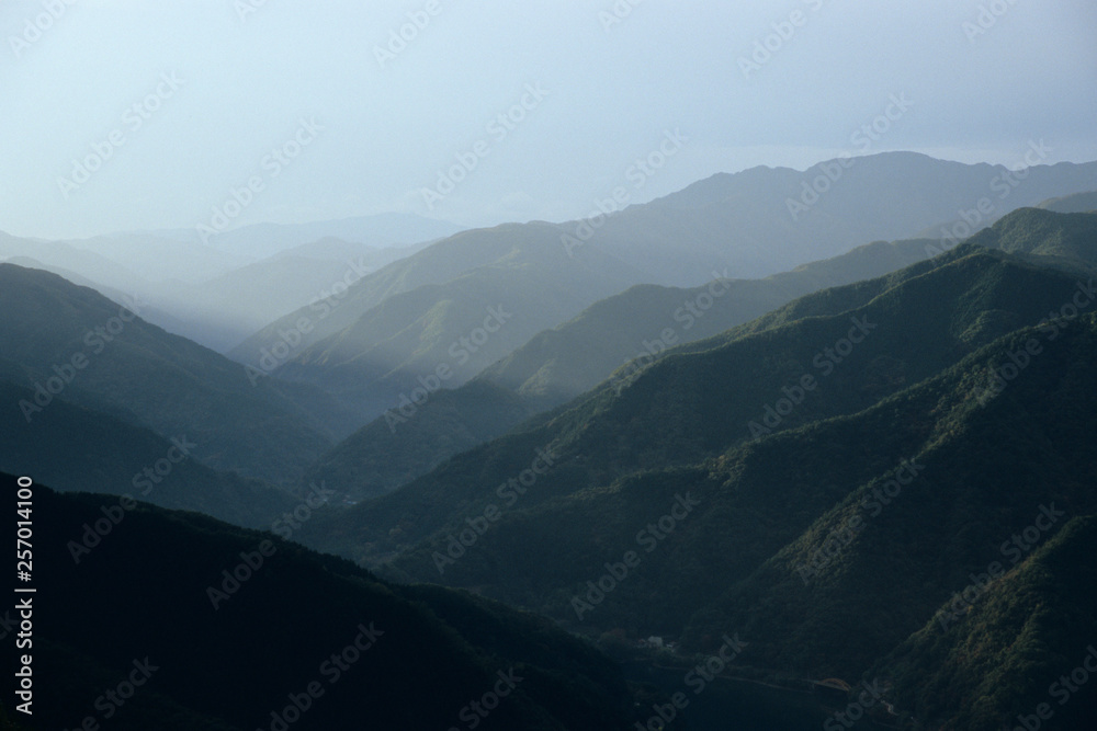 Light in the Shirakami mountains - 白神山地に差し込む光