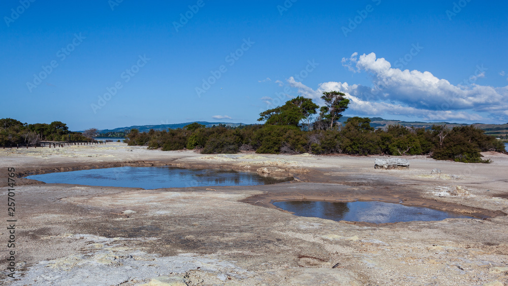 Rotorua Lake shore, Rotorua, North Island, New Zeland Rotorua Lake shore, Rotorua, North Island, New Zeland