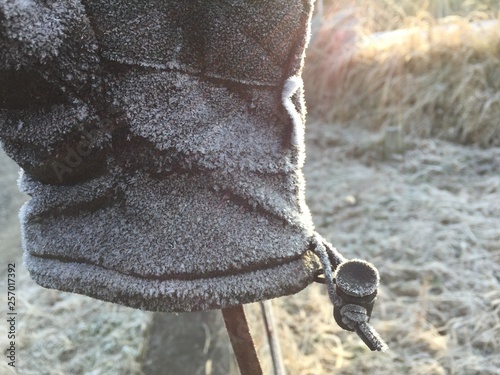 霜が降りた手袋 - Frosted glove