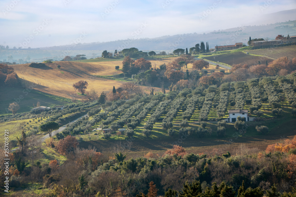 Obraz premium Maremma countryside