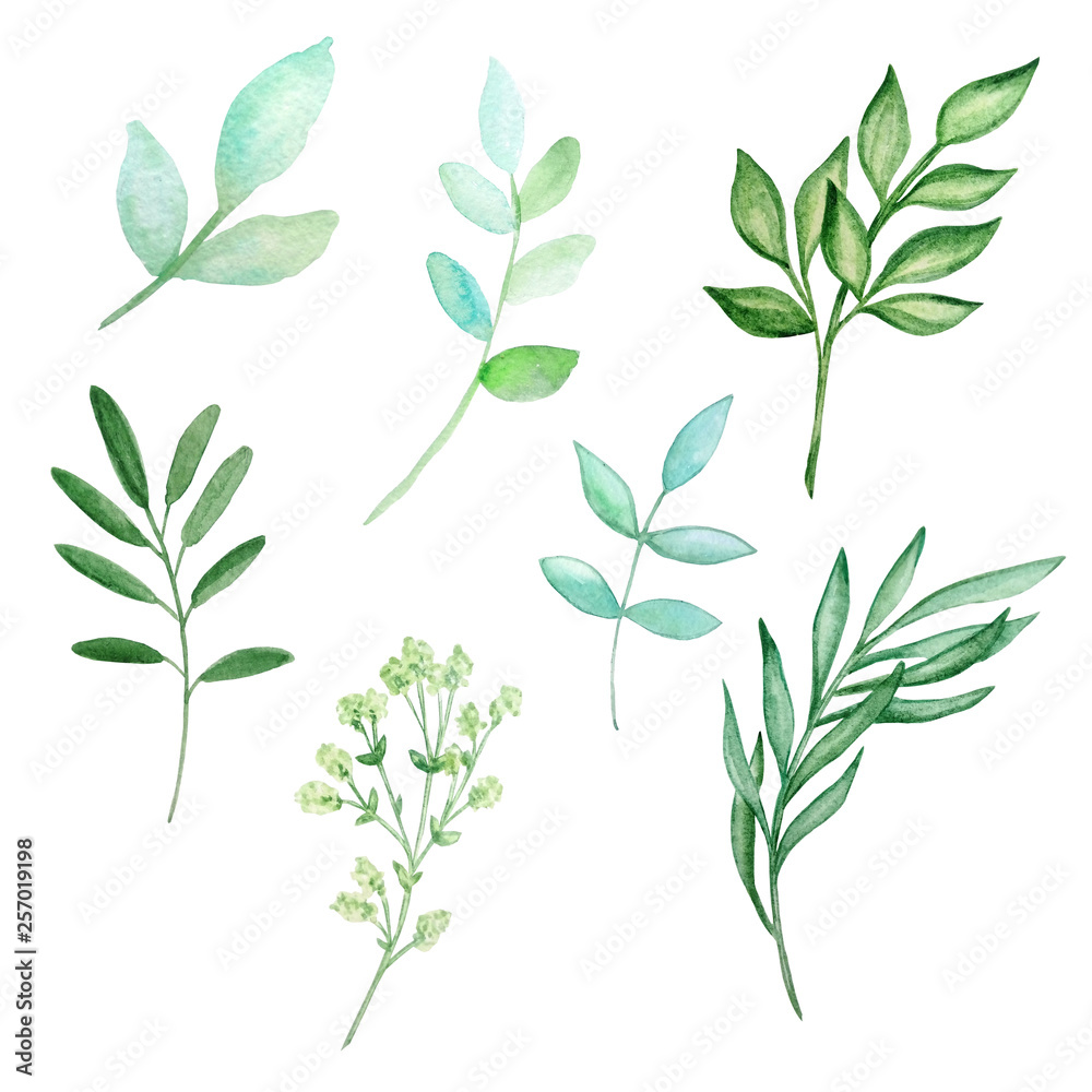 watercolor set of branches with leaves watercolor set of branches with leaves