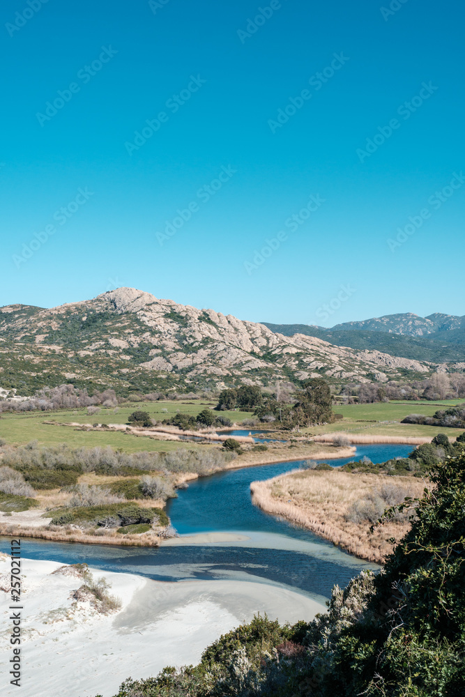 Fototapeta premium River arriving at Ostriconi beach in Balagne region of Corsica