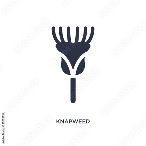 knapweed icon on white background. Simple element illustration from nature concept.