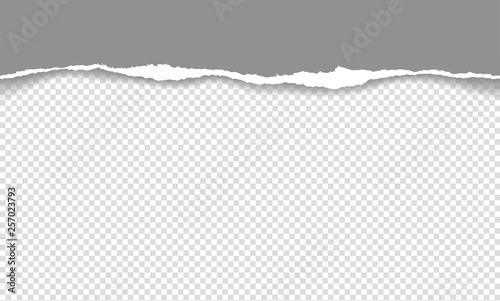 Vector illustration of the squared ripped paper for writing messages on gray abstract background. EPS10.