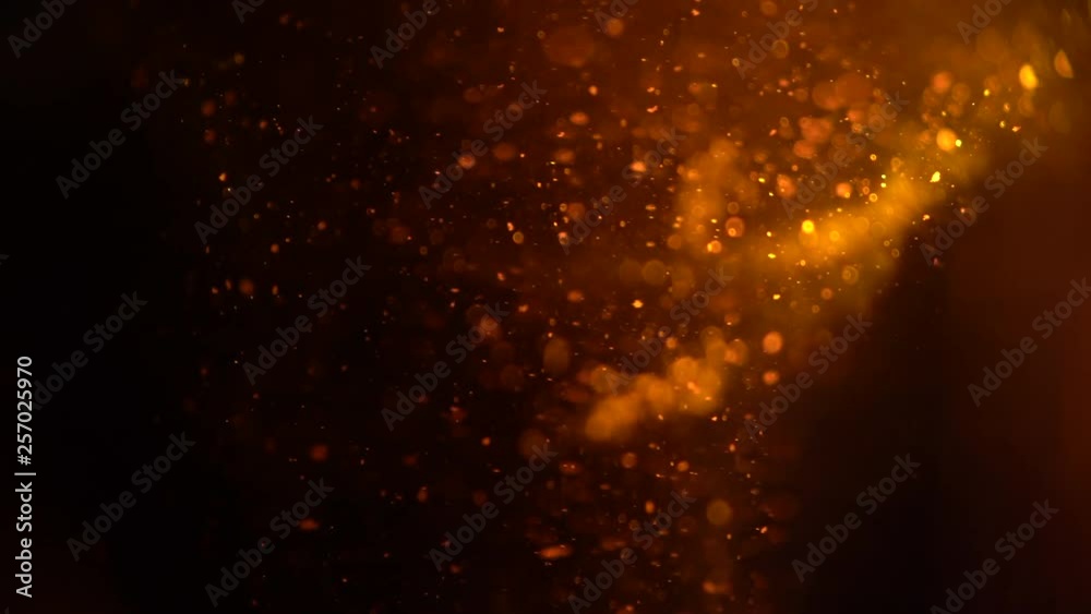 Amazing soft moving of small parts in the water. Golden light effect, close-up 4K shot