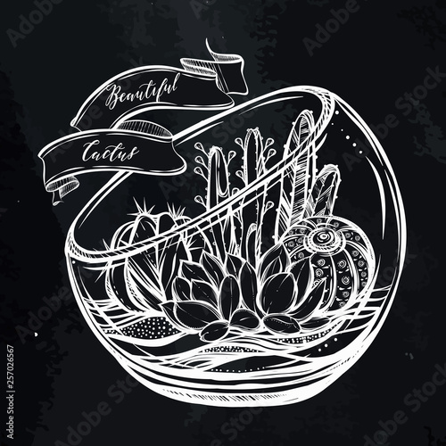 Beautiful cactus in terrarium. Vector illustration. Handmade, set of plants, prints on T-shirts, tattoos, postcard for you, background chalkboard