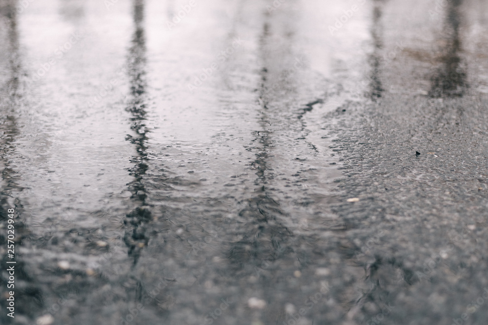 Vile wet weather on the streets of the city. Wet asphalt from melting snow. Vile wet weather on the streets of the city. Wet asphalt from melting snow.