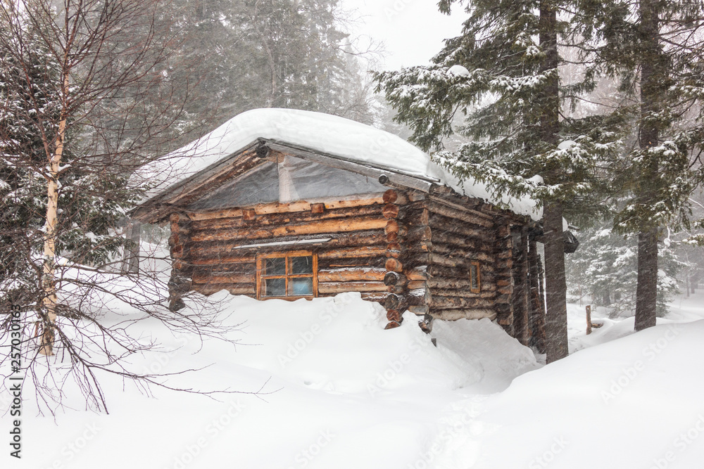 Wooden hut in a pine forest covered with snow blizzard