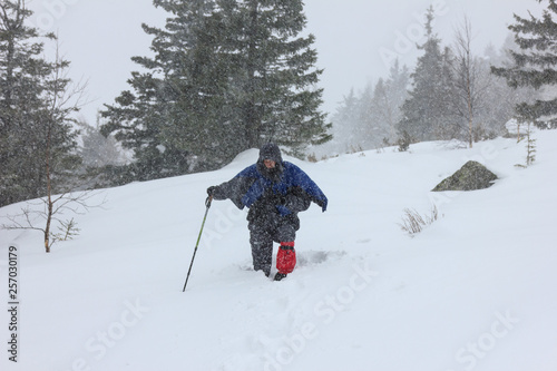 A tired traveler walks into a snowstorm along a snowbound path in poor visibility conditions