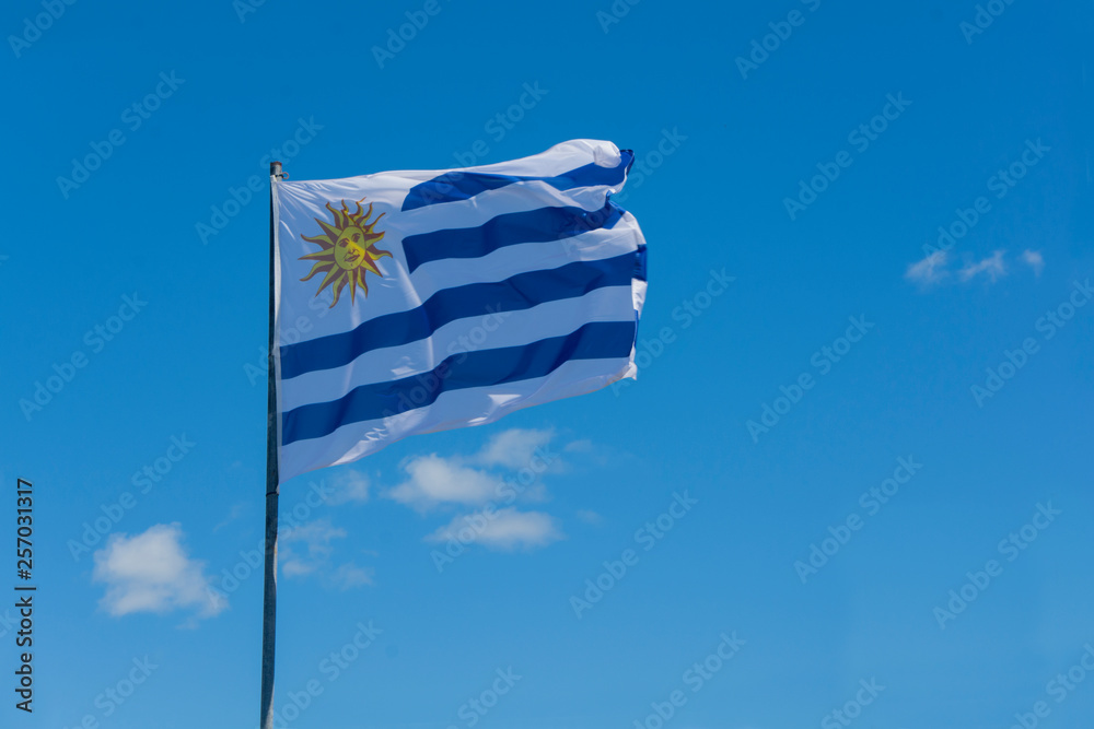 Fontanero Nos vemos mañana Contiene Bandera de Uruguay flameando en el cielo Stock Photo | Adobe Stock