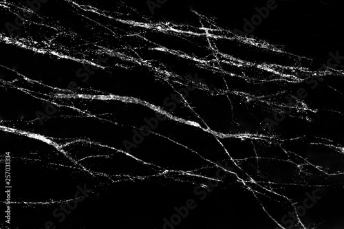 Black marble background with white nature patterns texture
