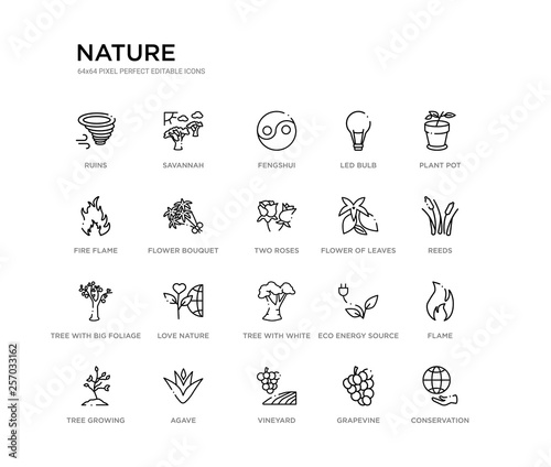 set of 20 line icons such as tree with white foliage, love nature, tree with big foliage, flower of leaves, two roses, flower bouquet, fire flame, led bulb, fengshui, savannah. nature outline thin