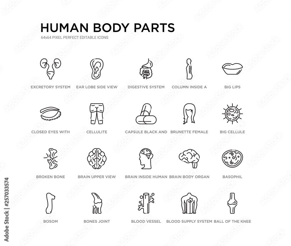 set of 20 line icons such as brain inside human head, brain upper view, broken bone, brunette female woman long hair, capsule black and white variant, cellulite, closed eyes with lashes and brows,