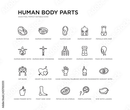 set of 20 line icons such as hand showing palm, heart black for valentines, hip bone, human abdomen, human artery, human body standing black, body with x ray plate focusing on stomach, breast, ear,