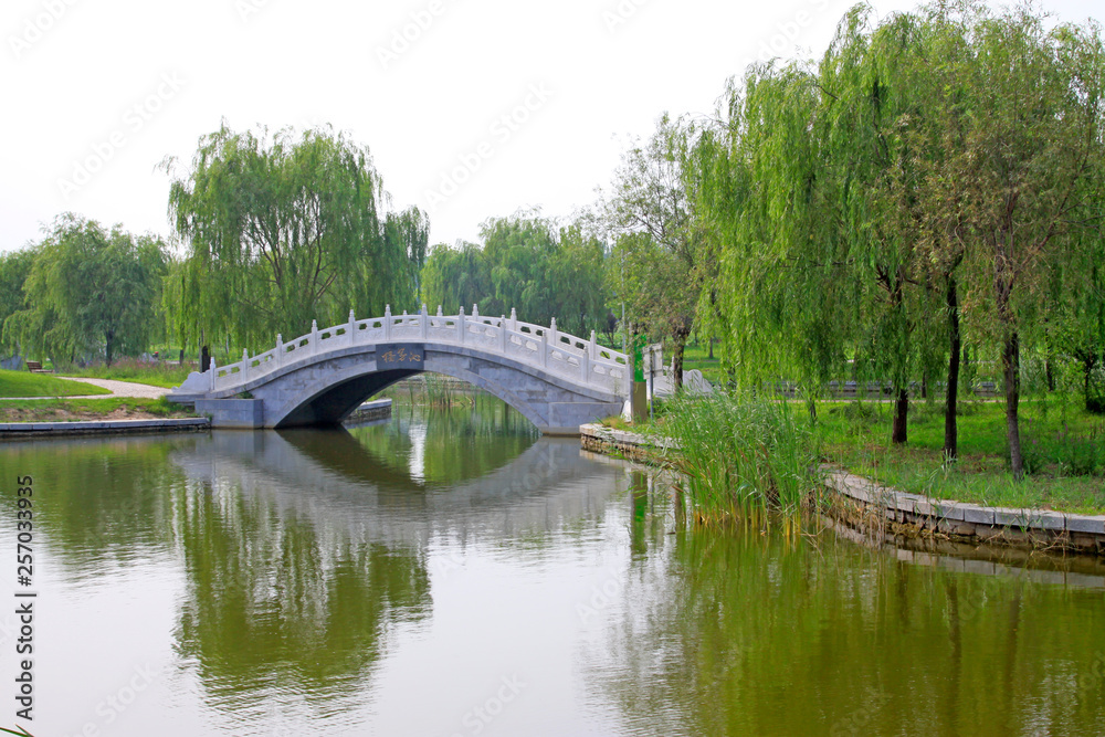 Forest Park scenery Forest Park scenery