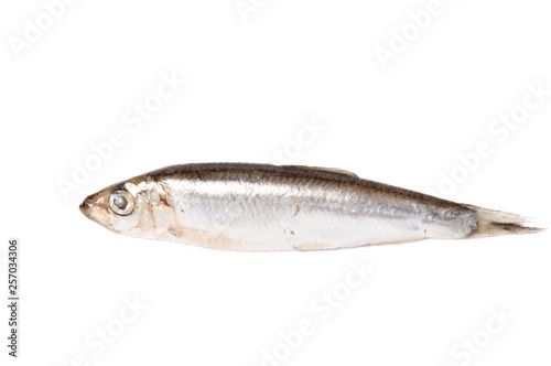 Dry fish isolated on white background. horizontal photo.