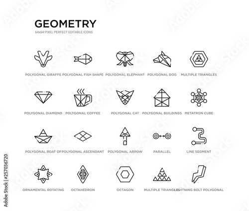 set of 20 line icons such as polygonal arrow up  polygonal ascendant  polygonal boat of small triangles  buildings of small triangles  cat  coffee cup  diamond shape small triangles  dog  elephant 