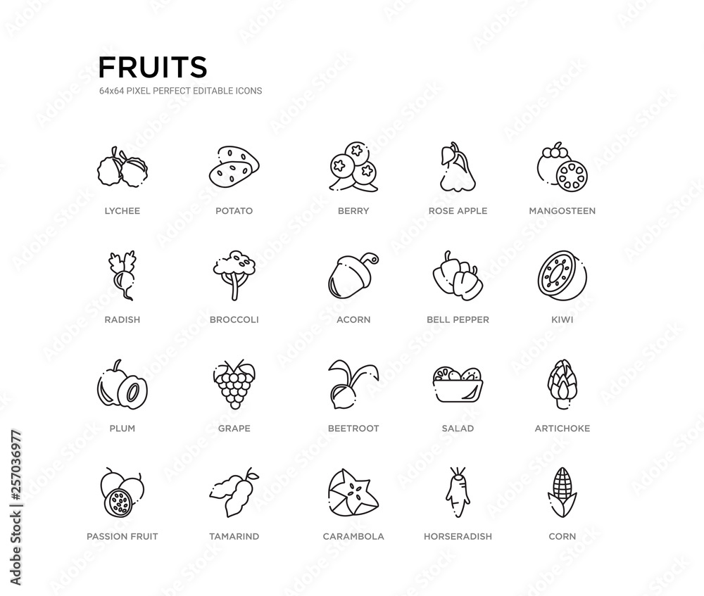 set of 20 line icons such as beetroot, grape, plum, bell pepper, acorn, broccoli, radish, rose apple, berry, potato. fruits outline thin icons collection. editable 64x64 stroke