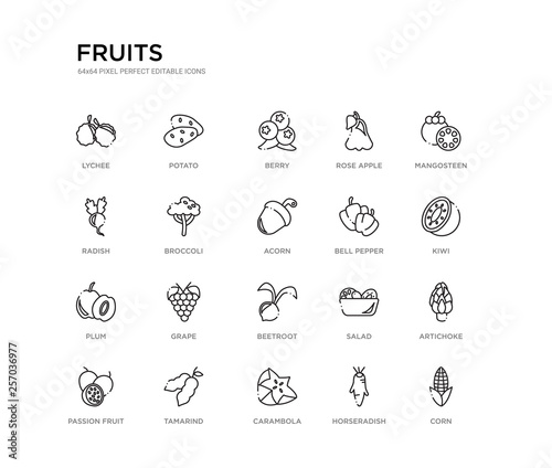 set of 20 line icons such as beetroot, grape, plum, bell pepper, acorn, broccoli, radish, rose apple, berry, potato. fruits outline thin icons collection. editable 64x64 stroke