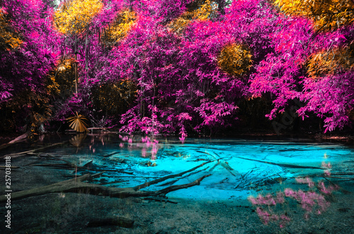 Fototapeta Naklejka Na Ścianę i Meble -  Emerald blue pool in autumn colors