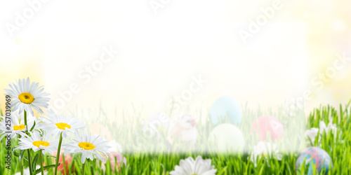 Easter postcard with eggs and flowers © firewings