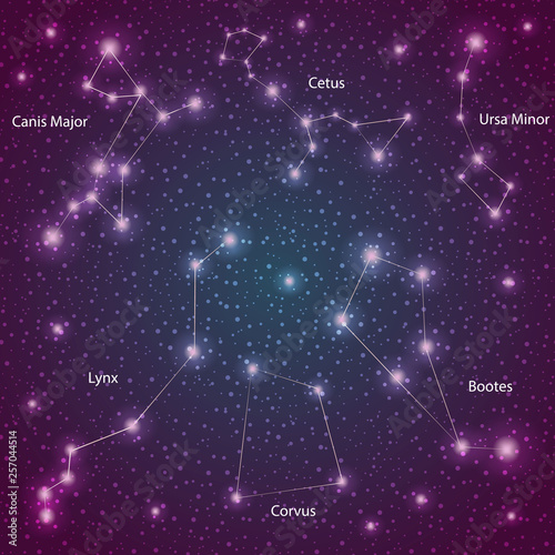 set of stars of_1_constellations with the name vector illustration on a scientific theme