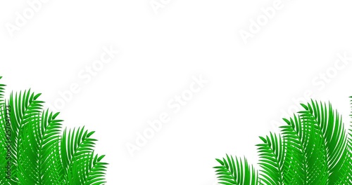 The wind is blowing palm leaves. White isolated background. Tropical drawn illustration animation.