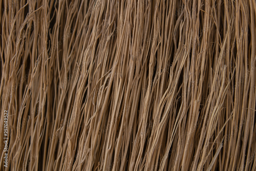 Broom texture. Abstract background of dark yellow color. Macro broom branches Broom texture. Abstract background of dark yellow color. Macro broom branches