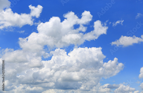 Fototapeta Naklejka Na Ścianę i Meble -  Puffy Cloud on the blue sky background.