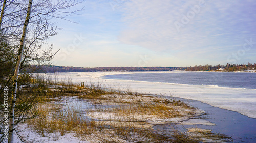 spring river and forest